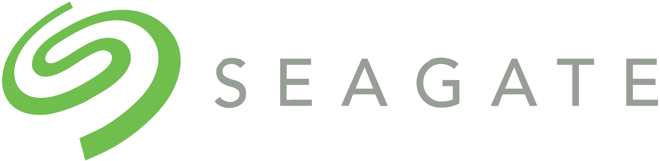 Logo Seagate